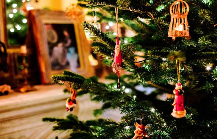 Weihnachtsbaum frisch halten: Tipps für einen schönen Tannenbaum