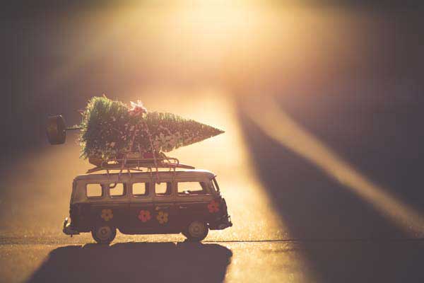 Weihnachtsbaum mit dem Auto transportieren