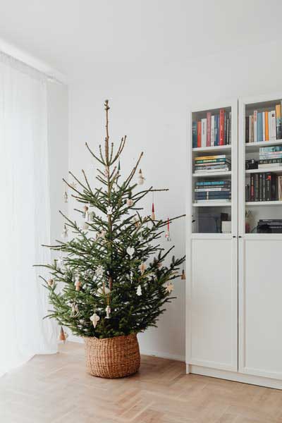 Weihnachtsbaum mit Naturmaterialien schmücken