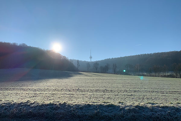 fruehling sonnenschein