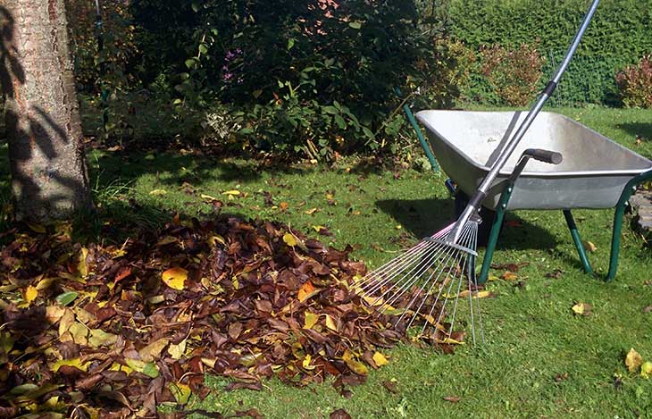 Den Garten winterfest machen – der Frühling kommt bestimmt