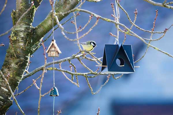 Ein Vogelfutterspender ist ein schönes DIY-Projekt.