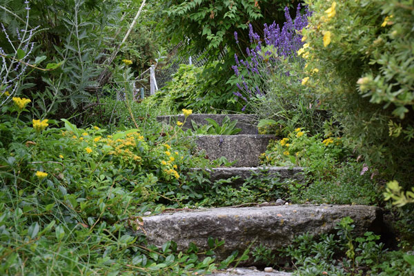 Garten im Stil von Wabi Sabi