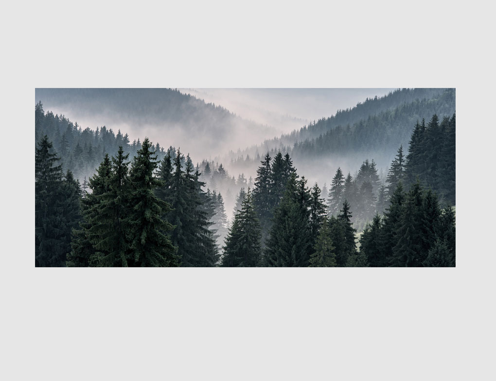 Bild Wald im Nebel - Bilder / Poster - Raumdekoration - Haushalt & Wohnen