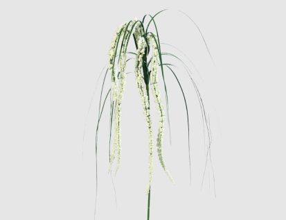 Kunstblume Amaranthus Gras