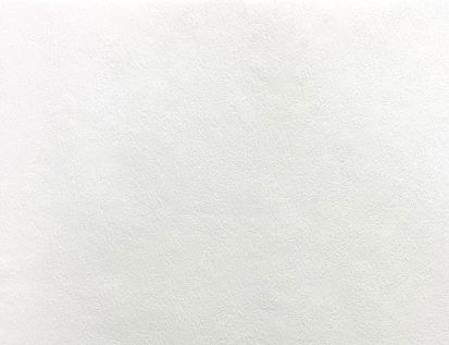 Papiertapete Uni Weiß