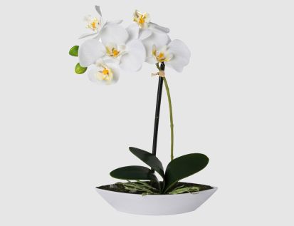 Kunstblume Orchidee