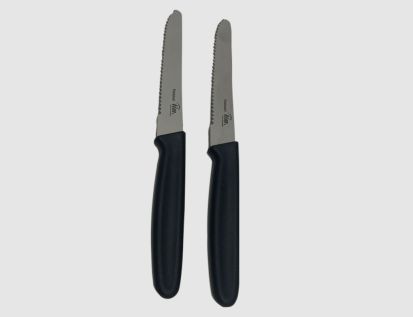Frühstücksmesser 2er mit Kunststoffgriff