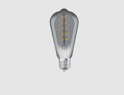 Leuchtmittel Vintage Edison