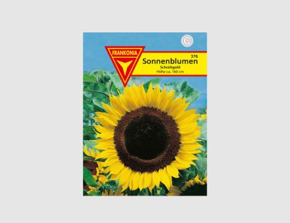 Sonnenblume Schnittgold