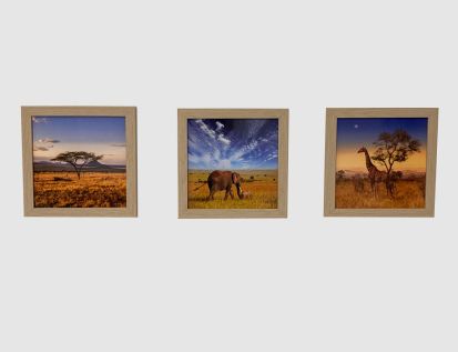 Bild Safari-Impressionen