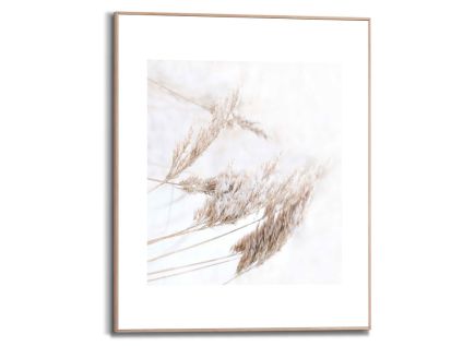 Bild Slim Frame Wood Pampasgras 1
