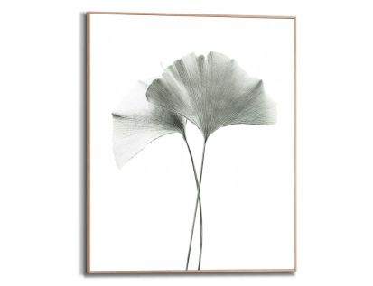 Bild Slim Frame Wood Ginkgo