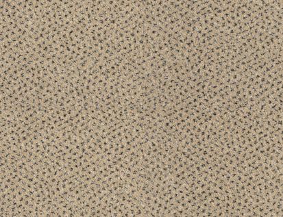 Teppichboden Sora Endurance Beige 4m breit Schaumrücken