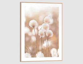 Bild Slim Frame Wood Cotton Pops 30x40cm