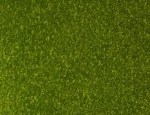 Teppichboden Dundee Grün