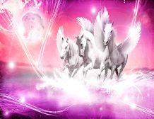 Fototapete PEGASOS