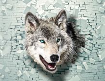 Fototapete WOLF