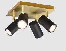 Spotbalken Schwarz, Gold IV