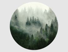 Wandtattoo Wald Rund