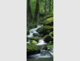 Türdecor WALD
