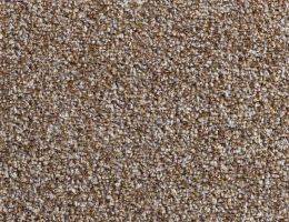 Teppichboden holzoptik - Die ausgezeichnetesten Teppichboden holzoptik ausführlich verglichen!