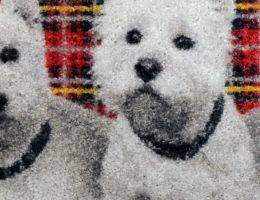 Schmutzfangmatte Hunde