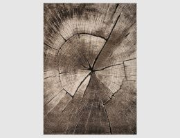Teppich Ibiza natur