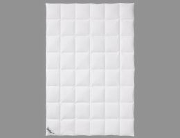 Kassettendecke 6x8