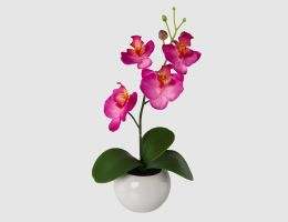 Kunstblume Orchidee
