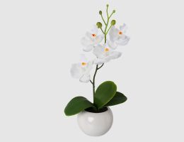 Kunstblume Orchidee