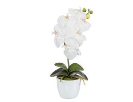 Kunstblume Orchidee