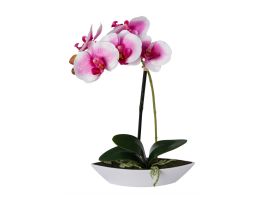 Kunstblume Orchidee