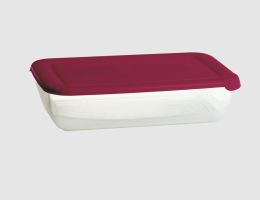 Vorratsdose Polar scarlett red