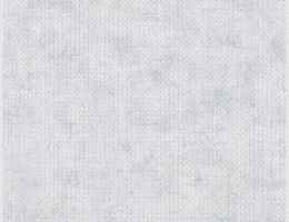 Vliestapete Grafik Weilß Silber