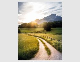 Bild Feldweg