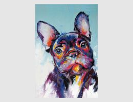 Bild Bulldogge