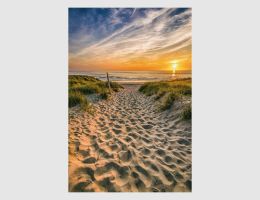 Bild Spuren im Sand