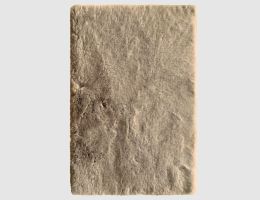 Kunstfellteppich Mia Hellbraun