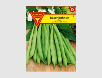 Buschbohnen Saxa