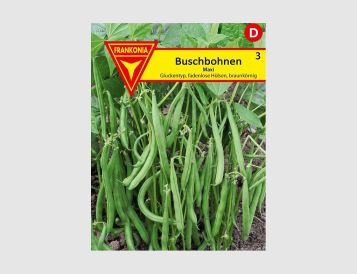 Buschbohnen Maxi