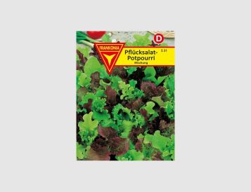Pflücksalat Potpourri