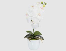 Abb. Kunstblume Orchidee