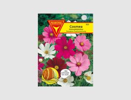 Abb. Cosmea Schmuckkörbchen