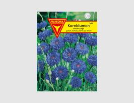 Abb. Kornblume Blauer Junge