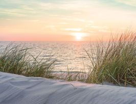 Abb. Fototapete Vlies Strandabend