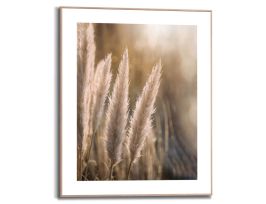 Abb. Bild Slim Frame Wood Pampasgras 2