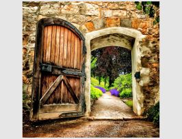 Abb. Bild Alte Holztür mit Gartenweg