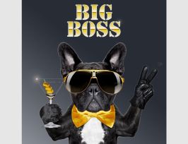 Abb. Bild Big Boss Bulldogge