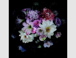 Abb. Bild Blumencollage dunkler Hintergrund